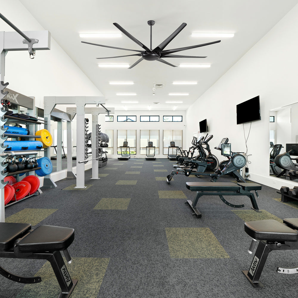 AeroSpan-XL large black ceiling fan installed in a modern fitness center