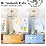 Avelis 20-Inch Crystal Caged Ceiling Fan With Light & Remote