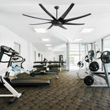 AeroSpan-XL large black ceiling fan installed in a modern fitness room