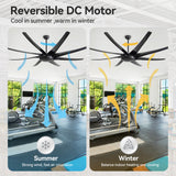 AeroSpan-XL large black ceiling fan with reversible DC motor for summer cooling and winter air circulation in a gym