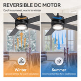 Ventorra 52/72 Inch Ceiling Fan With Light and Remote