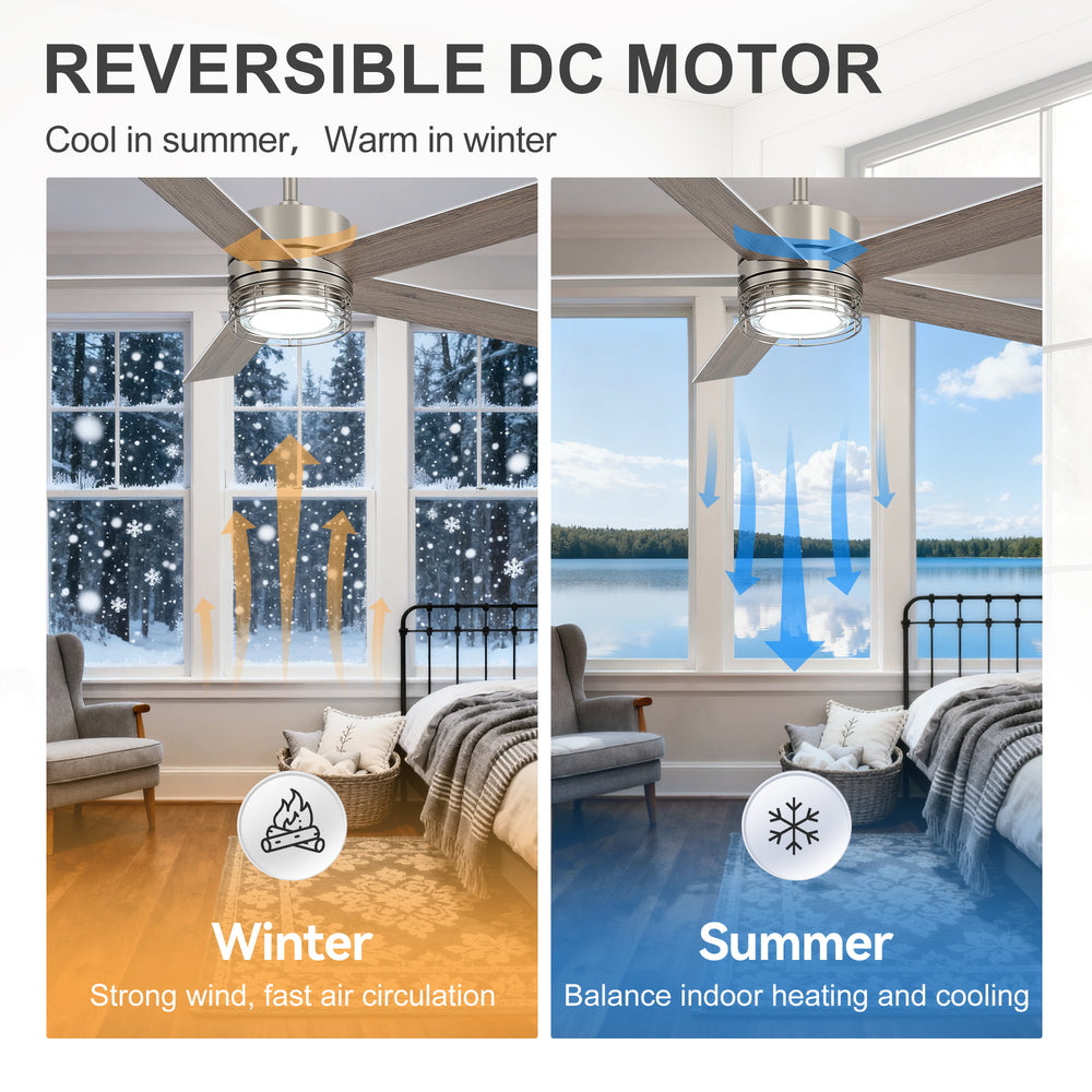 Ventorra 52/72 Inch Ceiling Fan With Light and Remote