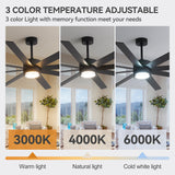 Ventorra 52/72 Inch Ceiling Fan With Light and Remote