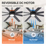 Ventorra 52/72 Inch Ceiling Fan With Light and Remote