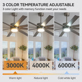 Ventorra 52/72 Inch Ceiling Fan With Light and Remote