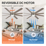 Ventorra 52/72 Inch Ceiling Fan With Light and Remote
