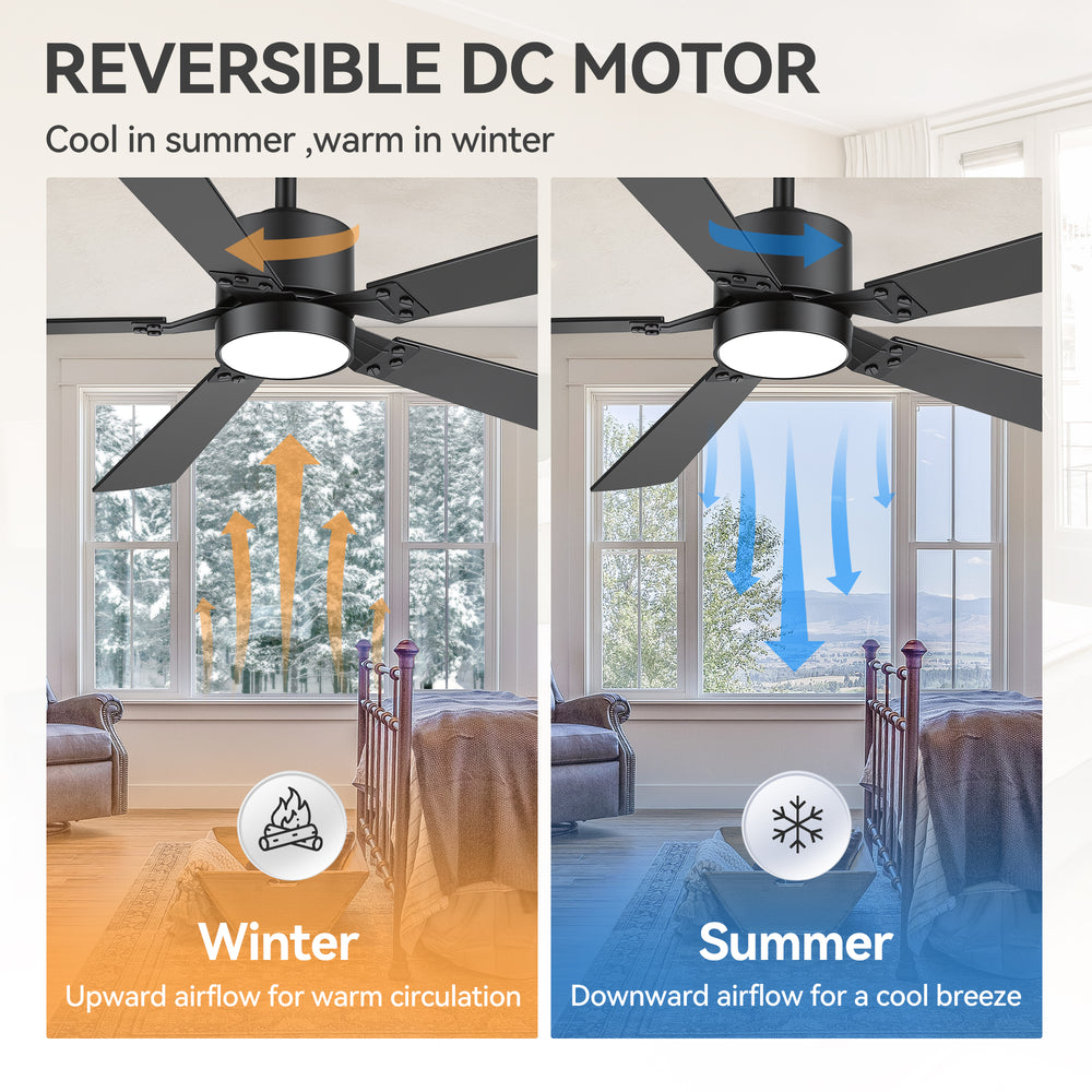 Levelle 52-Inch Smart Ceiling Fan With RGB Light