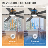 Levelle 52-Inch Smart Ceiling Fan With RGB Light