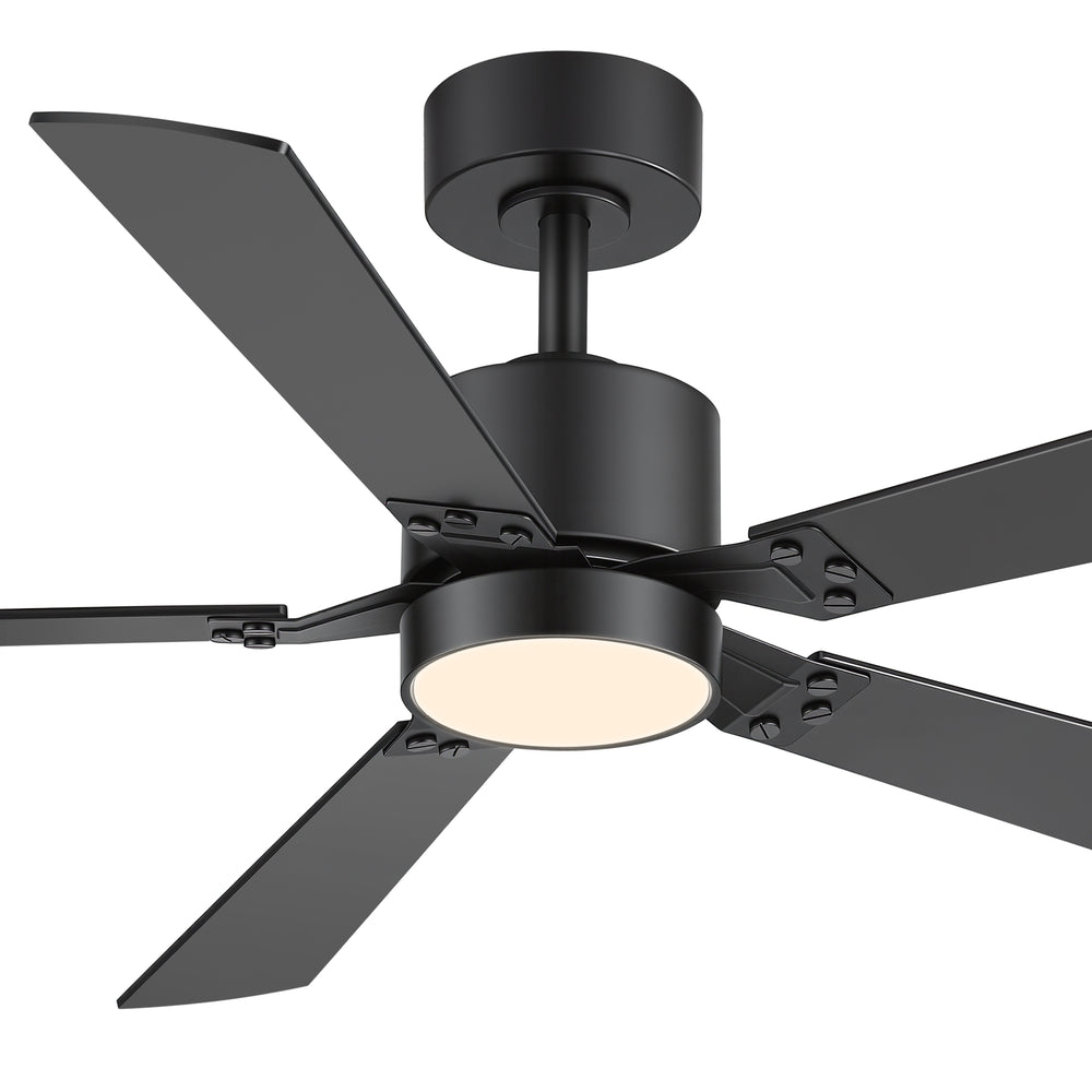 Levelle 52-Inch Smart Ceiling Fan With RGB Light