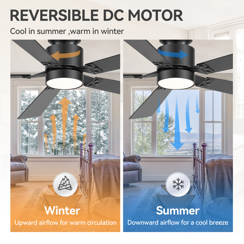 Levelle 52-Inch Smart Ceiling Fan With RGB Light