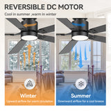Levelle 52-Inch Smart Ceiling Fan With RGB Light