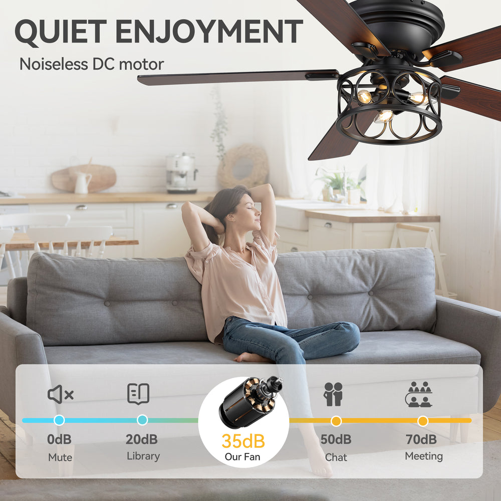 Lucis 52-Inch Black Ceiling Fan with Light & Remote