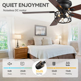Lucis 52-Inch Black Ceiling Fan with Light & Remote