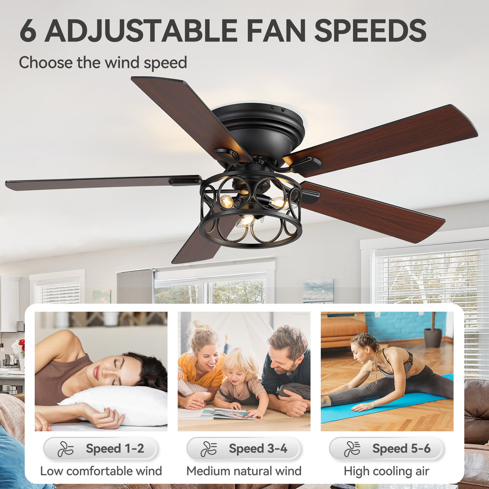 Lucis 52-Inch Black Ceiling Fan with Light & Remote