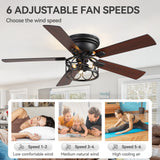 Lucis 52-Inch Black Ceiling Fan with Light & Remote