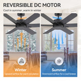 Nivora 48/56/60-Inch Ceiling Fan With No Light and Remote
