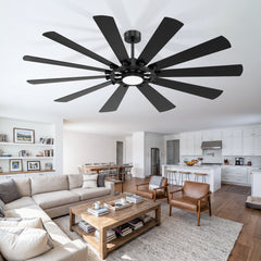 62/72-inch Large Ceiling Fan with Light and Remote, Reversible 10-Blade DC Motor Matte Black LED Ceiling Fan