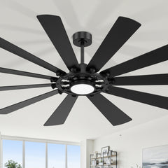 62/72-inch Large Ceiling Fan with Light and Remote, Reversible 10-Blade DC Motor Matte Black LED Ceiling Fan