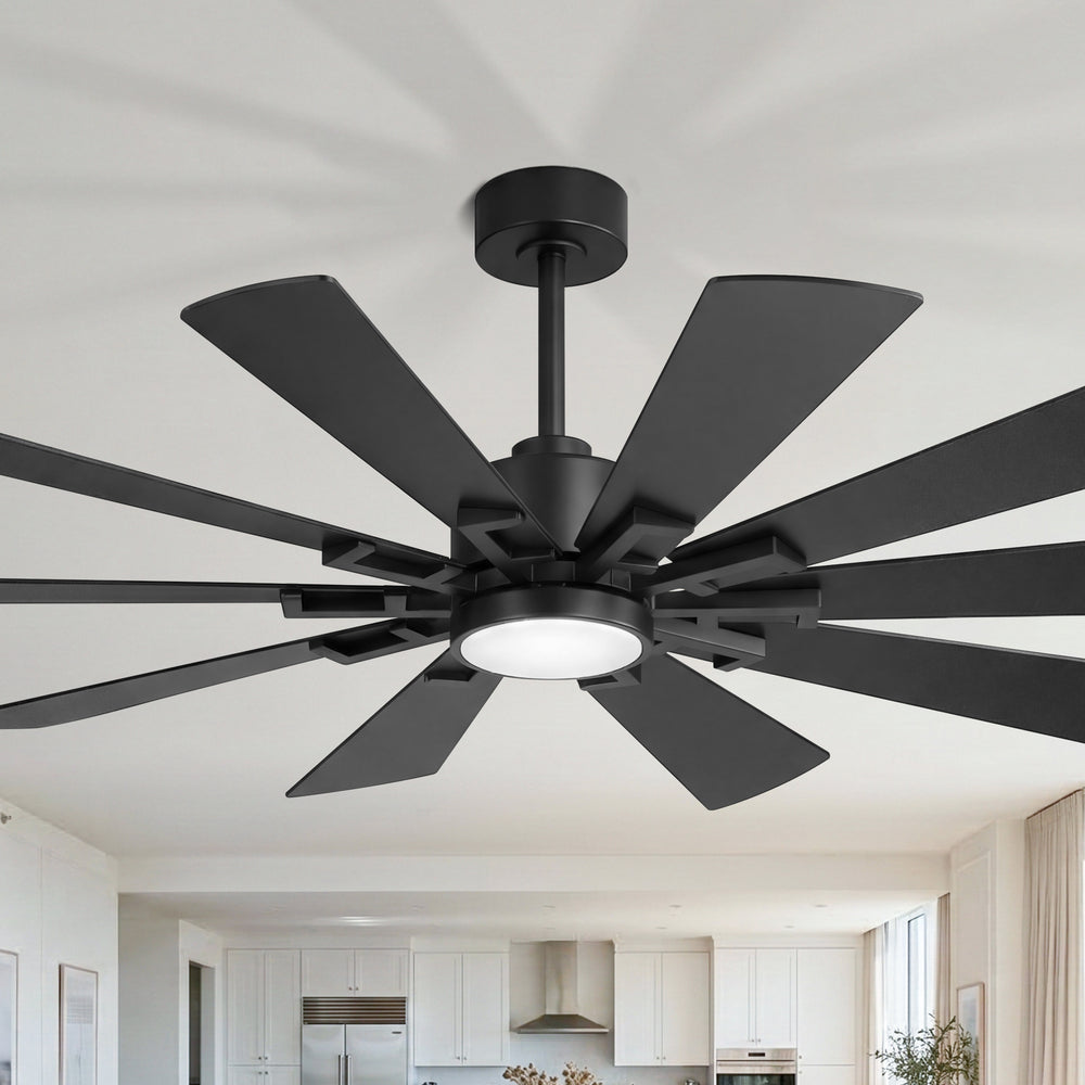 62/72-inch Large Ceiling Fan with 3CCT Light and Remote, 10-Blade Dual-Sided Blades Matte Black LED Ceiling Fan