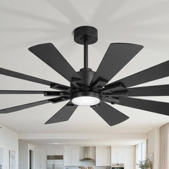 62/72-inch Large Ceiling Fan with 3CCT Light and Remote, 10-Blade Dual-Sided Blades Matte Black LED Ceiling Fan