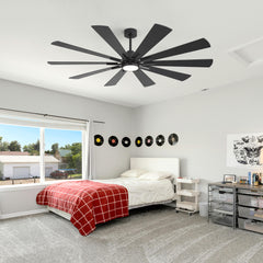 62/72-inch Large Ceiling Fan with 3CCT Light and Remote, Reversible 10-Blade Matte Black LED Ceiling Fan