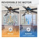 Osora 56-Inch 5-Blade Ceiling Fan With Light & Remote