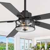 56 Inch Ceiling Fan with Light, Glass Shade, 5 Reversible Blades, DC Motor, Remote Control, 6 Speeds, Timer, Quiet Modern Ceiling Fan