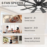 Pavara 62-inch black 10-blade ceiling fan 6 speeds from gentle airflow to strong cooling breeze