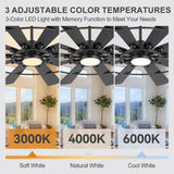 Pavara 62-inch black 10-blade ceiling fan with 3 color temperatures 3000K soft white 4000K natural 6000K cool