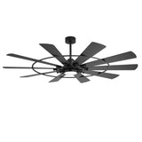 Pavara 62-inch black 10-blade ceiling fan with light off