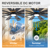 Rivelle 62/72 inch large black ceiling fan with light featuring reversible DC motor for year round summer cooling and winter air circulation