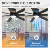 Veyra 60-inch black flush mount ceiling fan with reversible DC motor for summer and winter airflow