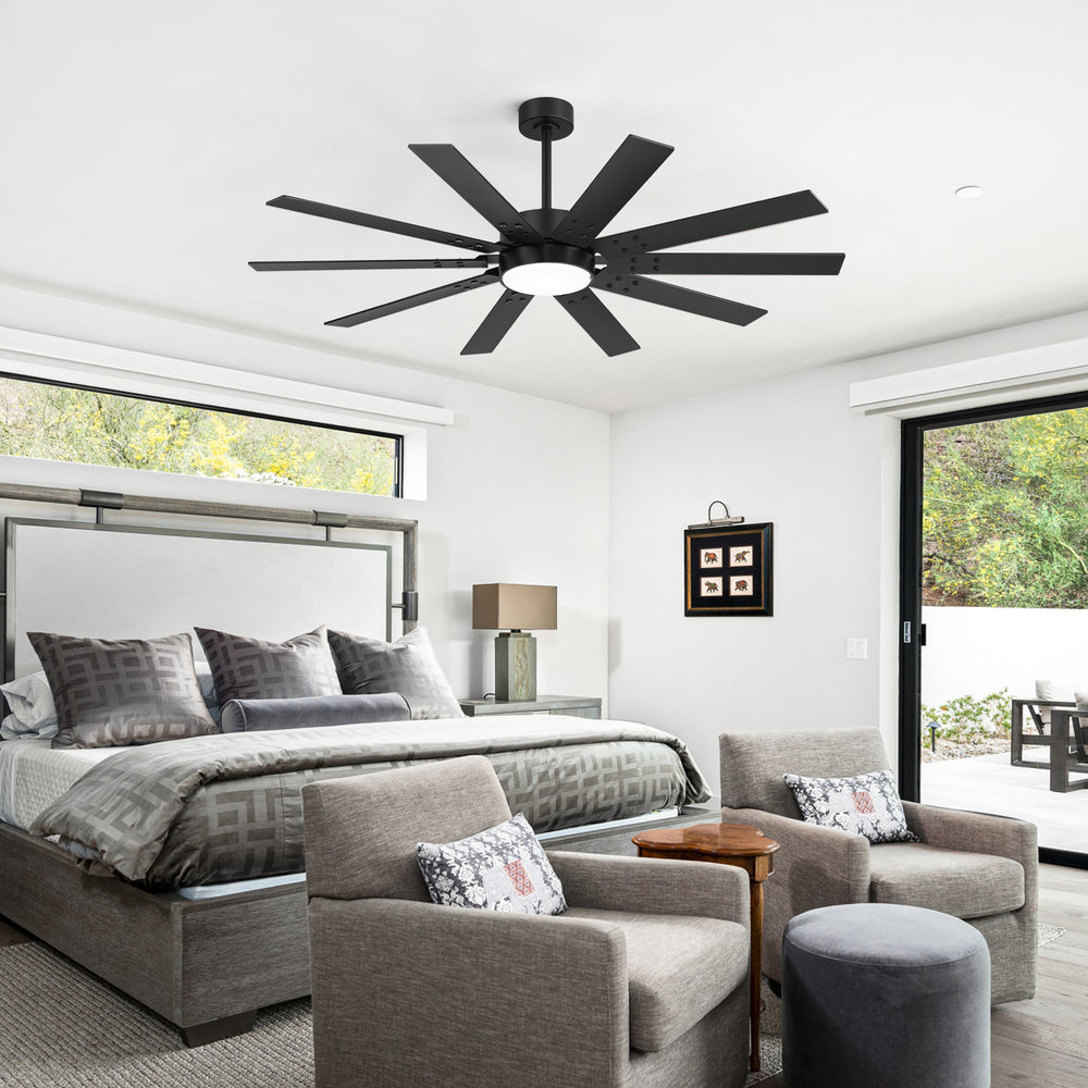 Rowon 60-Inch 10-Blade Ceiling Fan With Light & Remote