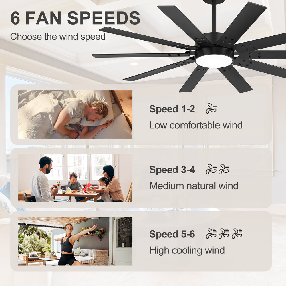 Rowon 60-Inch 10-Blade Ceiling Fan With Light & Remote
