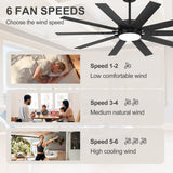 Rowon 60-Inch 10-Blade Ceiling Fan With Light & Remote