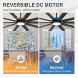 Rowon 60-Inch 10-Blade Ceiling Fan With Light & Remote