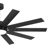 Rowon 60-Inch 10-Blade Ceiling Fan With Light & Remote