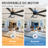 Rylis 52-Inch Farmhouse Ceiling Fan With Light & Remote