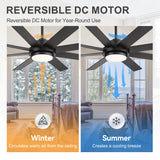 Solora 60/72 Inch Large Ceiling Fan With Light and Remote