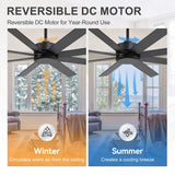 Walvex 60 Inch Black Walnut 8 Blade Ceiling Fan No Light