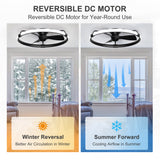 Elvoria 32" Black Enclosed Ceiling Fan With Light & Remote