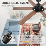 Magnara 60 Inch Black Ceiling Fan With Light and Remote