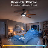 Magnara 60 Inch Black Ceiling Fan With Light and Remote