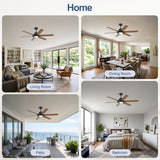 Magnara 60 Inch Black Ceiling Fan With Light and Remote