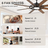 60 Inch 8-Blade Black Ceiling Fan with Light & Remote