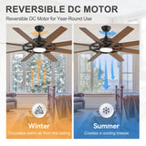 60 Inch 8-Blade Black Ceiling Fan with Light & Remote