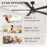 Savelle 42/52-Inch 5-Blade Ceiling Fan With Light & Remote