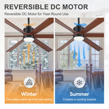 Velelle 60 Inch Ceiling Fan With Light and Remote