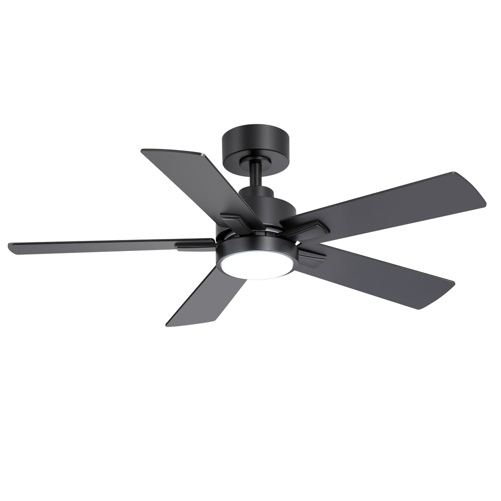 Charlie 42/52 Inch Ceiling Fan with Light & Remote