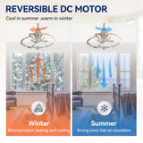 Halcyra 20-Inch Modern 3 Blade Ceiling Fan With Light